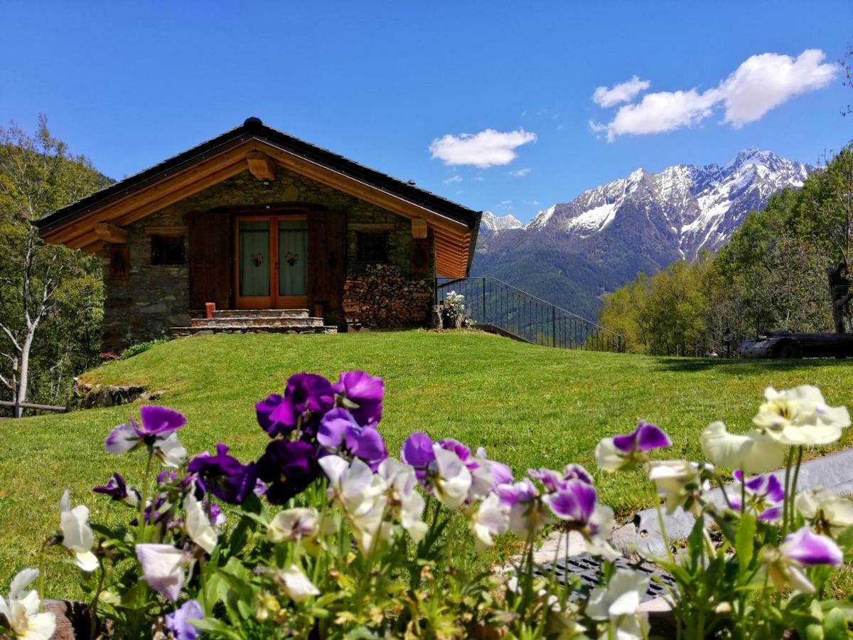 Chalet Cuore Selvatico Monno Ngoại thất bức ảnh